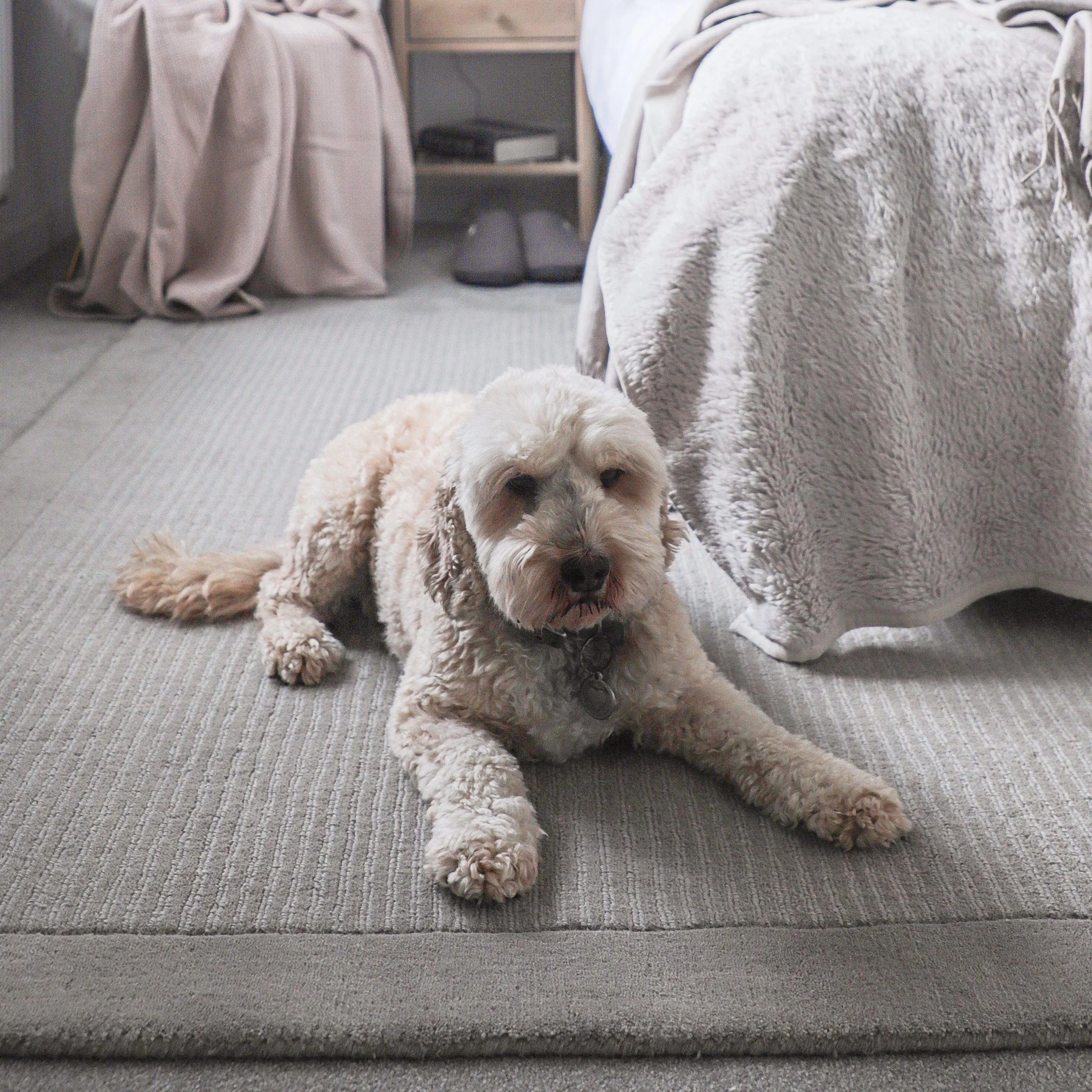 Grey Bordered Wool Rug - Olann Grey - Image 8